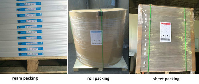 rollo enorme del papel de copia www.bmpaper.com