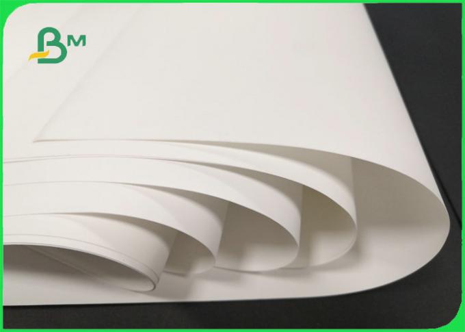 Prenda impermeable durable de papel del alto sintético blanco imprimible 168g 192g de la piedra