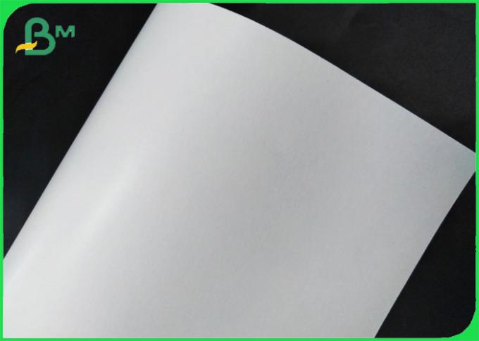 Cupstock completamente renovable Rolls de papel cubrió el polietileno 18g + 10gsm