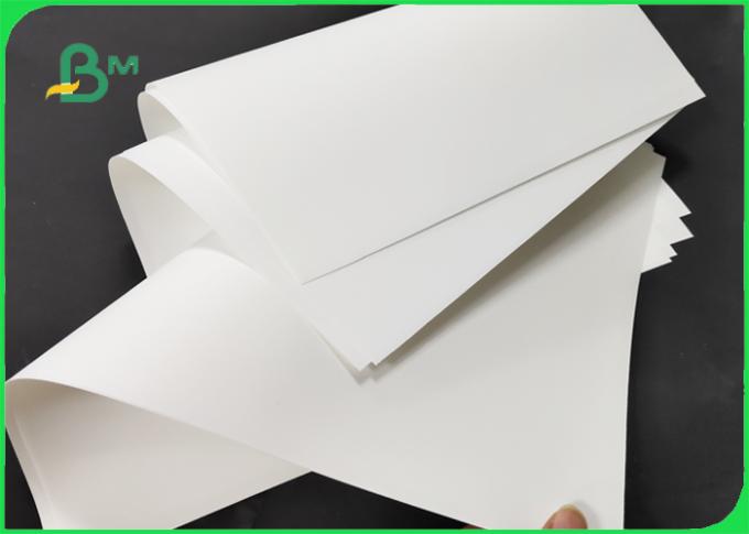 Resistencia de rasgón de papel sintética del ANIMAL DOMÉSTICO del material plástico alta 320 * 460m m