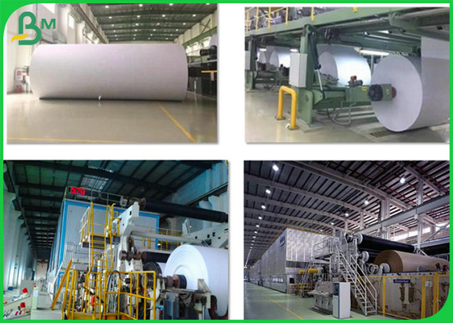 el rollo de papel Slitted 15m m imprimible de 13.5m m 14m m con la certificación del FDA aprobó