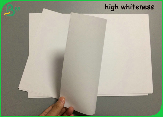 Rollo de papel respetuoso del medio ambiente 140gram de la impresión en offset para la bolsa de papel