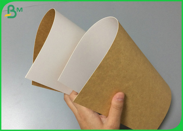 Tablero respetuoso del medio ambiente 250g 270g 300g de la categoría alimenticia para la materia prima de la fiambrera