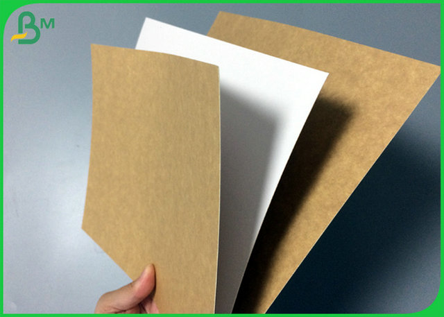 Tablero respetuoso del medio ambiente 250g 270g 300g de la categoría alimenticia para la materia prima de la fiambrera