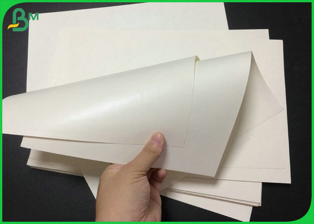 Papel impermeable de la taza de la cartulina de 190g 210g de categoría alimenticia para la materia prima de la taza de papel