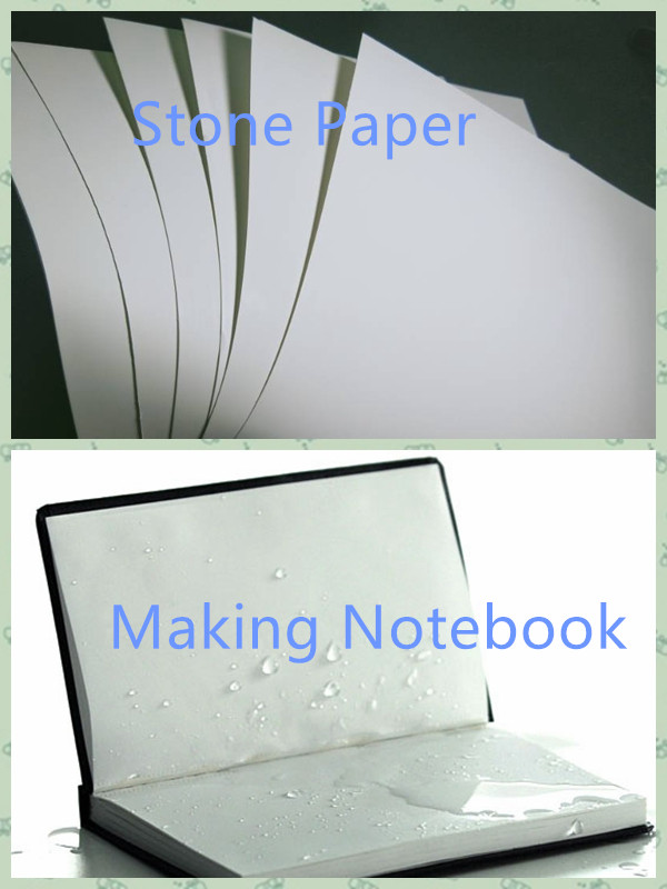 Prenda impermeable material de los cuadernos y plástico de piedra resistente de la cosechadora del papel del rasgón