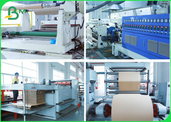 275gsm/300gsm impermeables a la grasa PE cubrió el rollo de papel marrón de Kraft para el cuenco para llevar