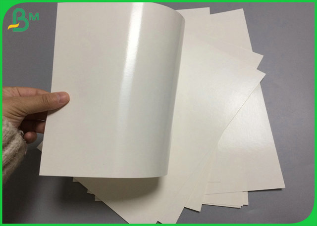 El material 240 de la categoría alimenticia + 15PE cubrió al tablero de papel de Cupstock para la producción de la taza de papel
