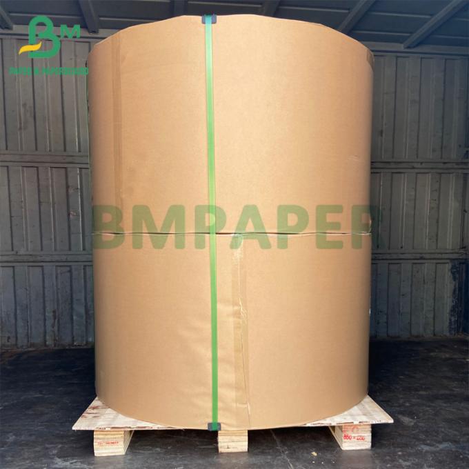 el PE cubrió el papel de la taza