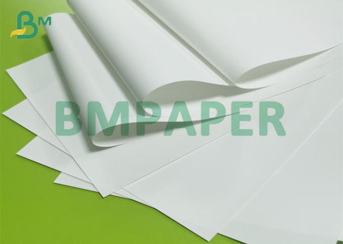 papel impermeable de papel especial libre de la piedra del rollo enorme de la contaminación de 140um 168g (4)