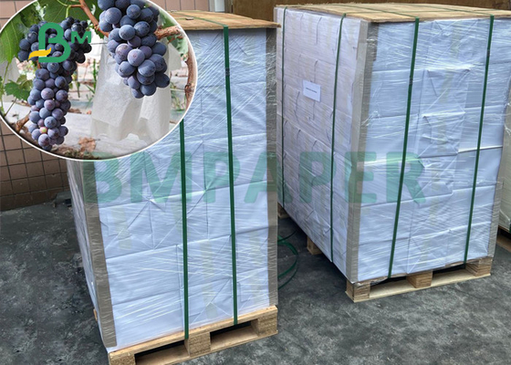 papel impermeable de piedra de 120gsm 144gsm para el bolso 300 x 350m m de la protección de la uva