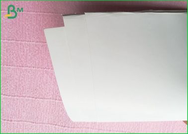 Tablero de taza de papel blanco del café del tablero del rollo del papel de categoría alimenticia 230gm para el acondicionamiento de los alimentos