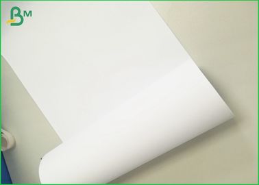 Polilla - prueba y papel frío de la piedra de la prueba 120g 240g para el blanco natural de los bolsos de la fruta
