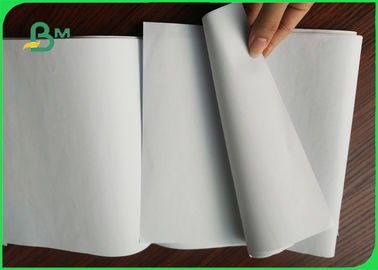 Papel sin recubrimiento blanco de Woodfree, papel Rolls del cuaderno de 80gsm Offest