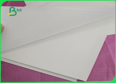 Molde de papel resistente de la piedra de Eco del rasgón blanco amistoso de la prenda impermeable - impermeabilice el material 144g 216g