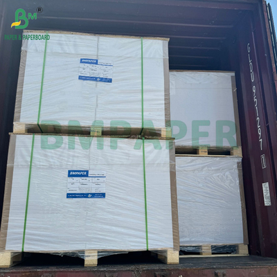Papel sintético de PET impermeable de 100 mm y 130 mm para pancartas publicitarias 70 x 100 cm