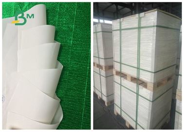 Papel de rollo enorme reciclado de Degardable 200um 250um modificado para requisitos particulares