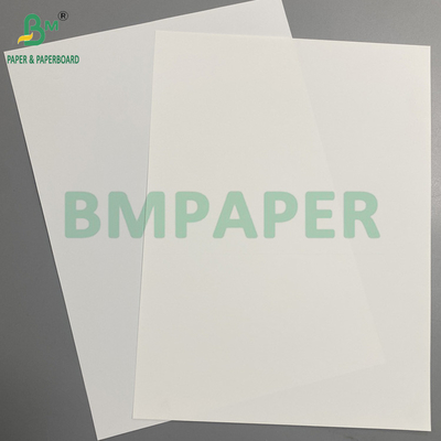 0.2 mm 0.13 mm Impresión láser Papel sintético recubierto No desgarrable Tamaño A4