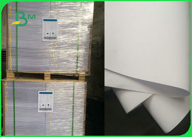 70 copiadora de papel sin recubrimiento Rolls enorme de Woodfree de la blancura de 80 G/M de alto