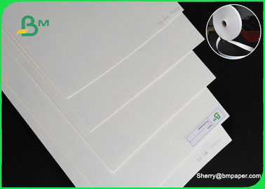 hoja de papel absorbente natural de la fibra de la categoría alimenticia del rollo/arriba de la absorción del papel de la cartulina de 230gsm 280gsm