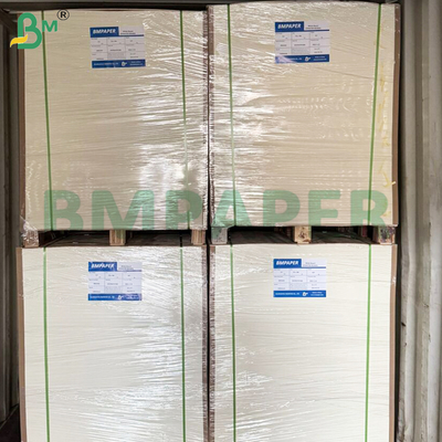 Hojas de papel para vasos desechables con recubrimiento de PE en una cara