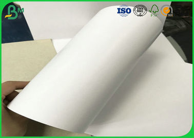 Rasgue 200gsm resistente - papel Rolls del duplex de 450gsm C1S para hacer la caja de embalaje
