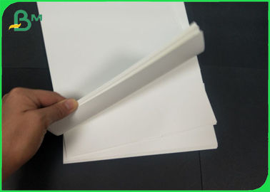 Calor - rollo y hoja de papel sintéticos de resistencia 200um del ANIMAL DOMÉSTICO para la impresora de cinta del carbono