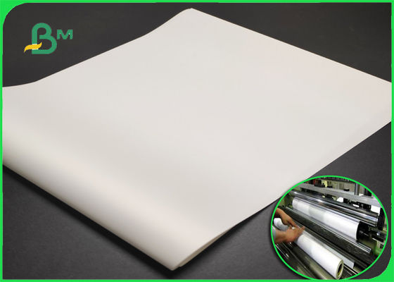 Modelo ancho 70gsm de papel que traza de la ropa del papel cuadriculado que traza del formato
