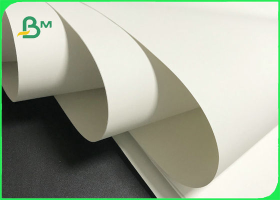 Prenda impermeable 120g - papel blanco de la piedra del color 300g para hacer publicidad de la impresión
