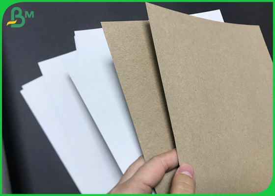 140gsm reciclable 170gsm Clay Coated Kraft Back Board blanco para el soporte de vaso de papel