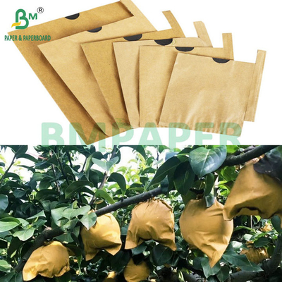 59gm Protector solar resistente a las lágrimas Frutas Manga de papel Marrón superior Negro espalda