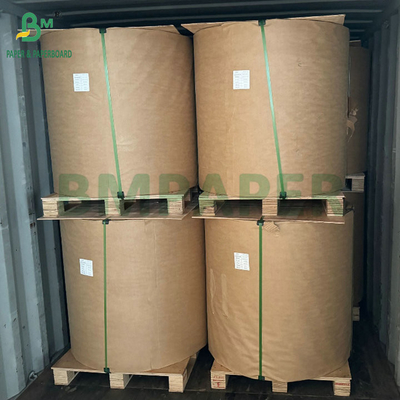 54g 56g Papel de bolsa de protección para el cultivo de frutas de mango de una o dos capas