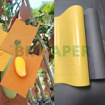 54g 56g Papel de bolsa de protección para el cultivo de frutas de mango de una o dos capas