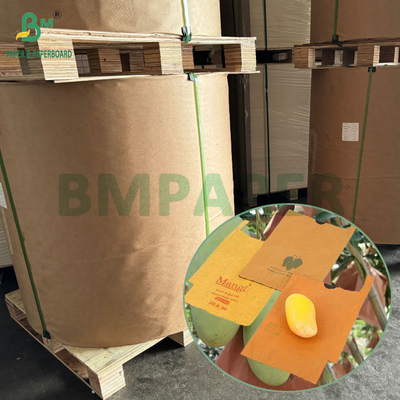 54g 56g Papel de bolsa de protección para el cultivo de frutas de mango de una o dos capas