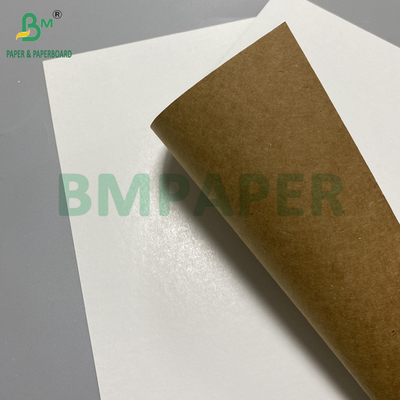 360 gr 365 gr de cartón de embalaje de calidad alimenticia de cara blanca Kraft Reverse 31" 43"