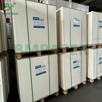 Papel de etiqueta para botellas de cerveza de un solo lado de recubrimiento de 65 gramos para impresión de rollo grande de 61 cm y 86 cm