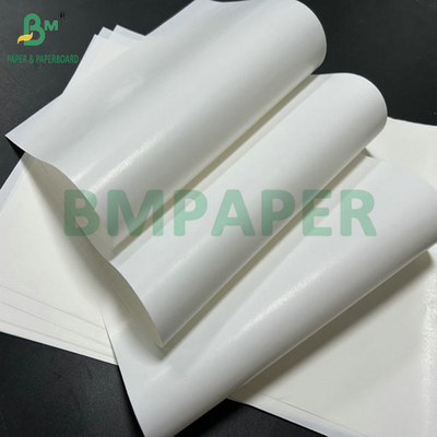 Papel de etiqueta para botellas de cerveza de un solo lado de recubrimiento de 65 gramos para impresión de rollo grande de 61 cm y 86 cm