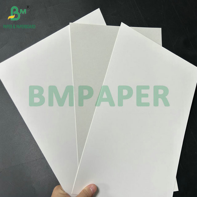 Alta blanqueza 98% 325 gr 360 gr Papel Fbb de calidad alimentaria para pasteles Caja de paquete 70 x 100 cm