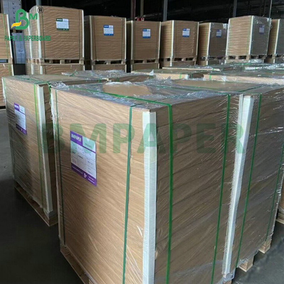 300 gm 350 gm SBS Sulfato de blanqueador sólido para hacer cartón plegable