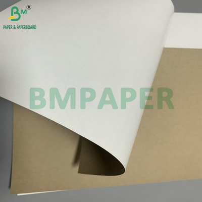300 gm 350 gm SBS Sulfato de blanqueador sólido para hacer cartón plegable