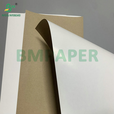 300 gm 350 gm SBS Sulfato de blanqueador sólido para hacer cartón plegable