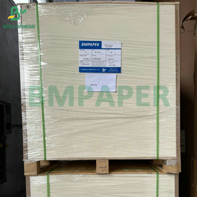 Papel en blanco de cartón de absorción natural 35PT 40PT para esterilla de cerveza
