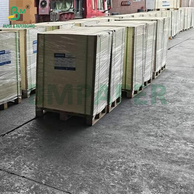 Papel en blanco de cartón de absorción natural 35PT 40PT para esterilla de cerveza