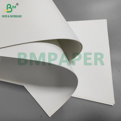 Papel sintético de PET impermeable de 100 mm y 130 mm para pancartas publicitarias 70 x 100 cm