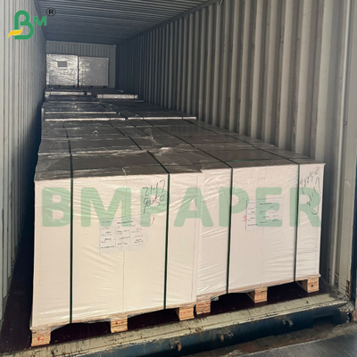 Papel TCF totalmente libre de cloro, impermeable a la grasa, papel de pergamino para hornear