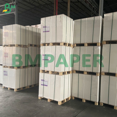 50 GSM Hojas de papel de filtro de café sin olor y resistentes al calor