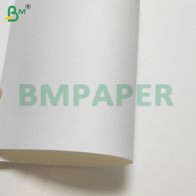 135-350 GSM Papel impermeable con recubrimiento en PE de doble tamaño para tazas y tazones