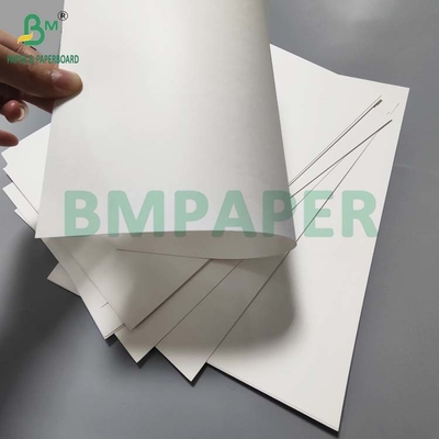 Papel de copa recubierto en PE de grado alimentario 190gm+18g para café caliente impermeable a agua impermeable al aceite