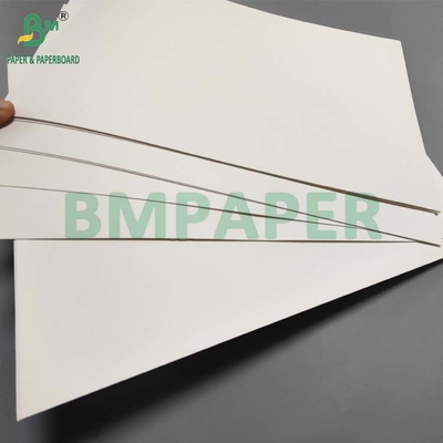 Papel de copa recubierto en PE de grado alimentario 190gm+18g para café caliente impermeable a agua impermeable al aceite