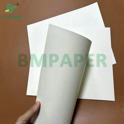 31 pulgadas 35 pulgadas 230 gramos 260 gramos de papel de copa recubierto en PE para tazas de café